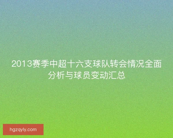 2013赛季中超十六支球队转会情况全面分析与球员变动汇总