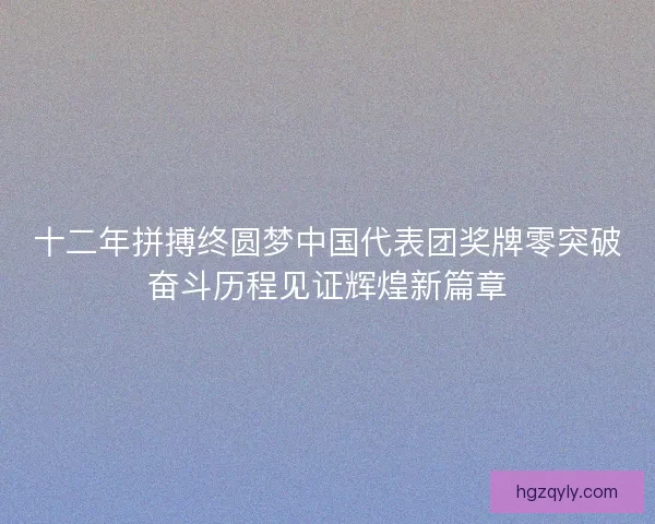 十二年拼搏终圆梦中国代表团奖牌零突破奋斗历程见证辉煌新篇章
